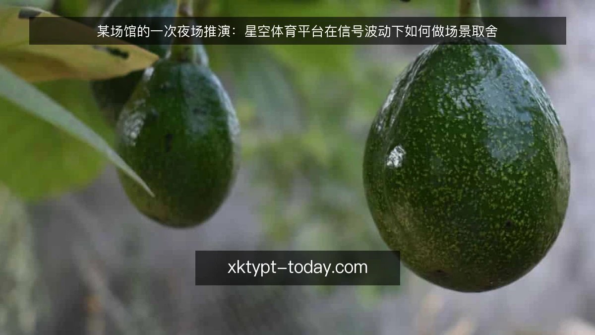 某场馆的一次夜场推演:星空体育平台在信号波动下如何做场景取舍